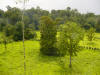 tropical hardwood and Costa Rica tree fences